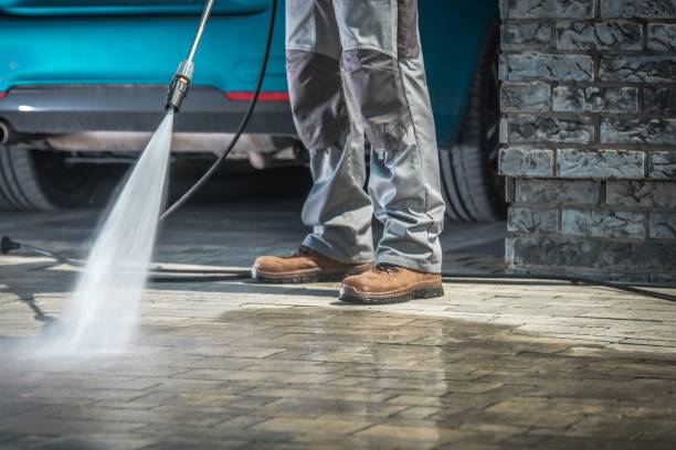 Best Winterizing Services  in Newton, AL