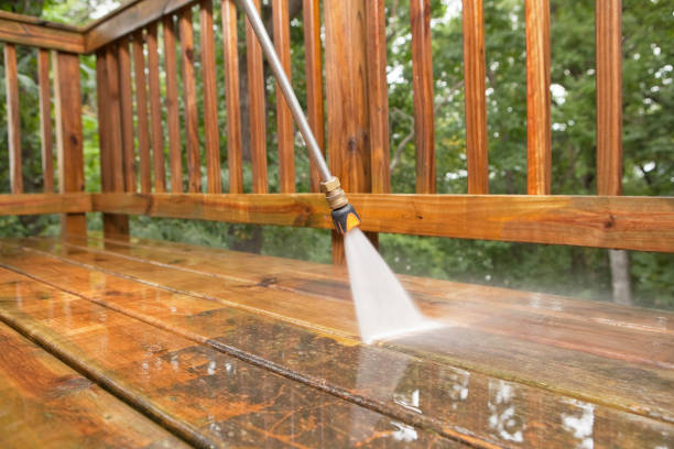 Best Post-Construction Pressure Washing  in Newton, AL